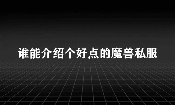 谁能介绍个好点的魔兽私服