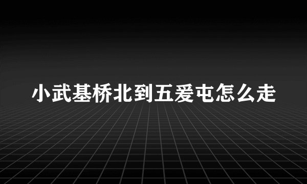 小武基桥北到五爰屯怎么走