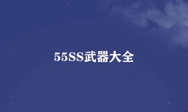 55SS武器大全
