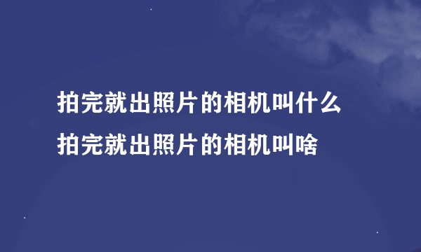 拍完就出照片的相机叫什么 拍完就出照片的相机叫啥