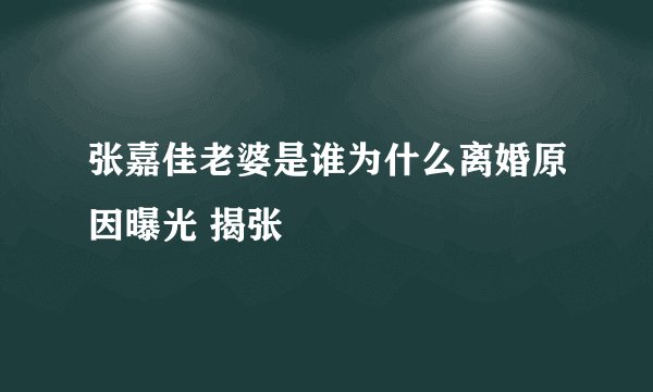 张嘉佳老婆是谁为什么离婚原因曝光 揭张