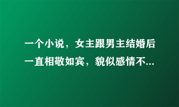 一个小说，女主跟男主结婚后一直相敬如宾，貌似感情不太好的样子。后来一次男主请朋友和女主吃饭，女主