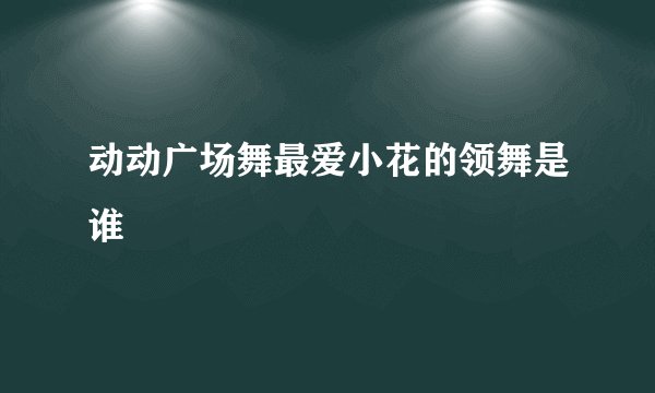 动动广场舞最爱小花的领舞是谁