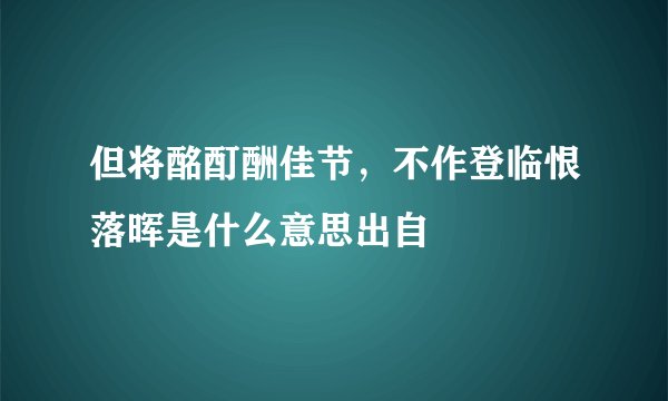 但将酩酊酬佳节，不作登临恨落晖是什么意思出自
