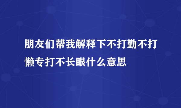 朋友们帮我解释下不打勤不打懒专打不长眼什么意思