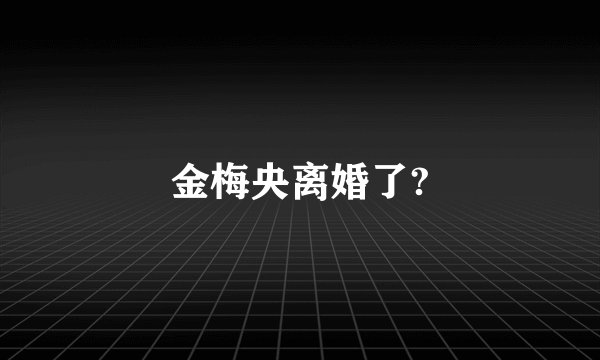 金梅央离婚了?