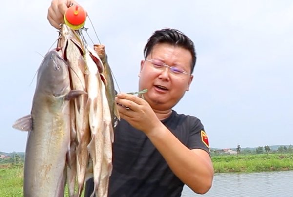 新手接鱼小妙招