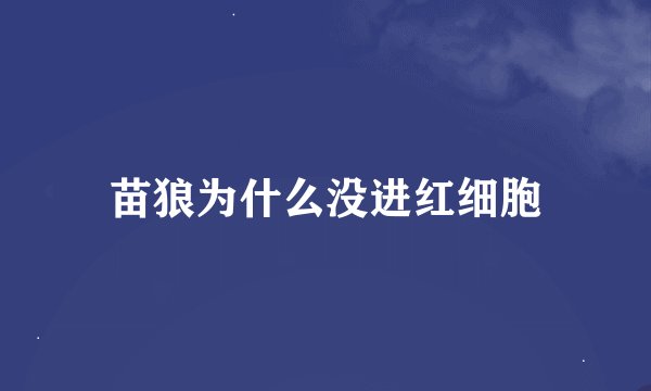 苗狼为什么没进红细胞
