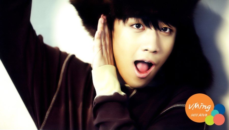 bigbang的简介 附带照片