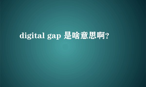 digital gap 是啥意思啊？
