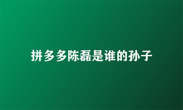 拼多多陈磊是谁的孙子