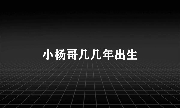 小杨哥几几年出生