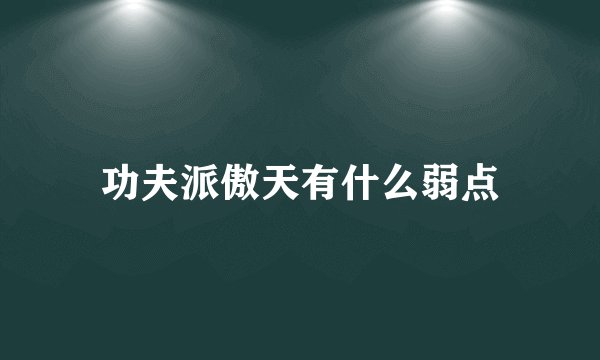 功夫派傲天有什么弱点