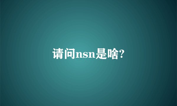 请问nsn是啥?