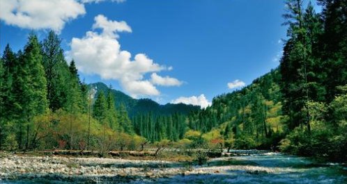 自然保护区的三区是指哪三区？