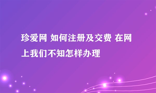 珍爱网 如何注册及交费 在网上我们不知怎样办理