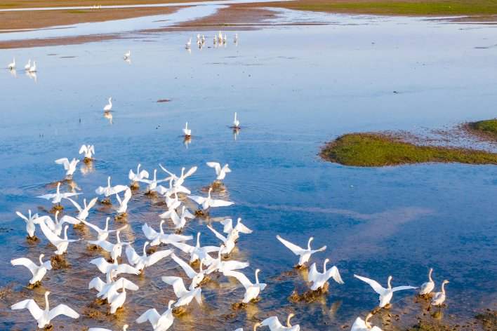 鄱阳湖正确读法