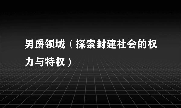 男爵领域（探索封建社会的权力与特权）