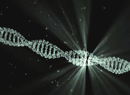 两只史前苍蝇交配时变成琥珀，持续4100万年，这是为何？