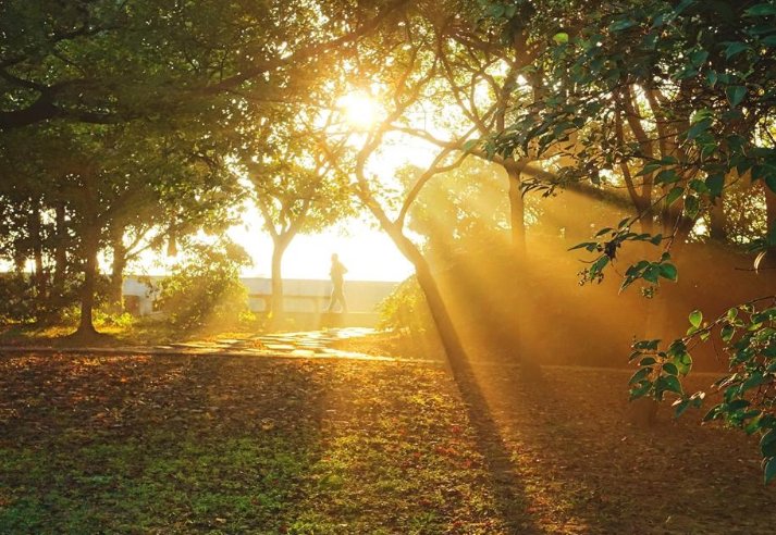 你不是什么却带来了什么造句