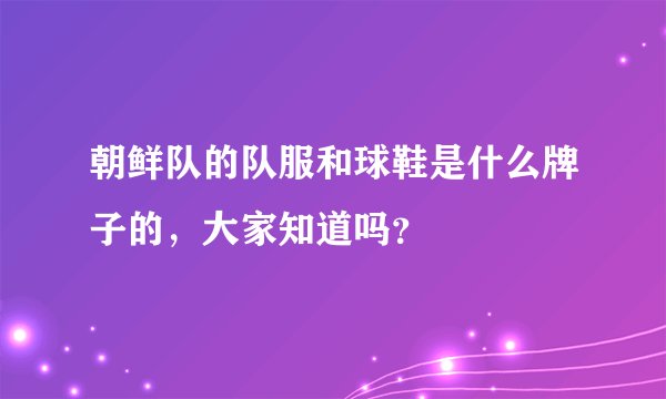 朝鲜队的队服和球鞋是什么牌子的，大家知道吗？