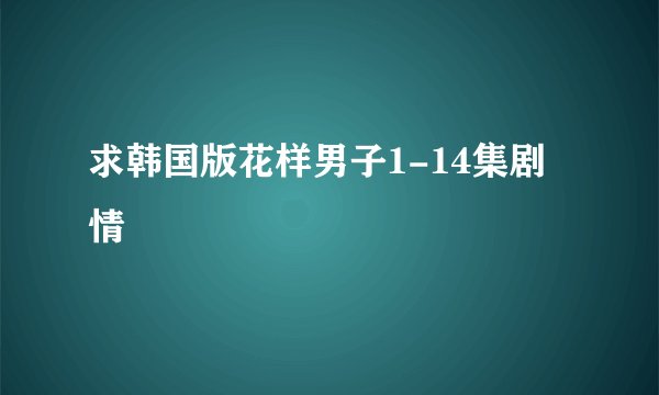 求韩国版花样男子1-14集剧情