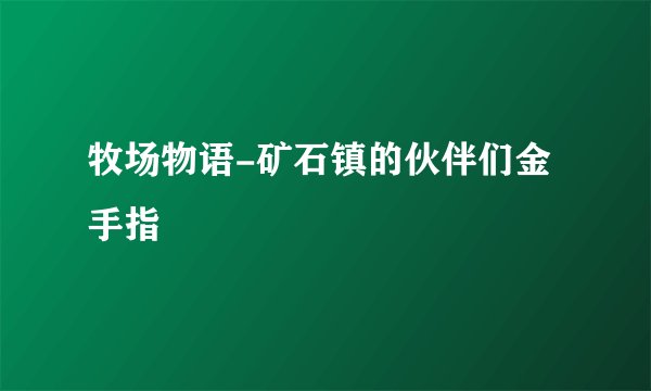 牧场物语-矿石镇的伙伴们金手指