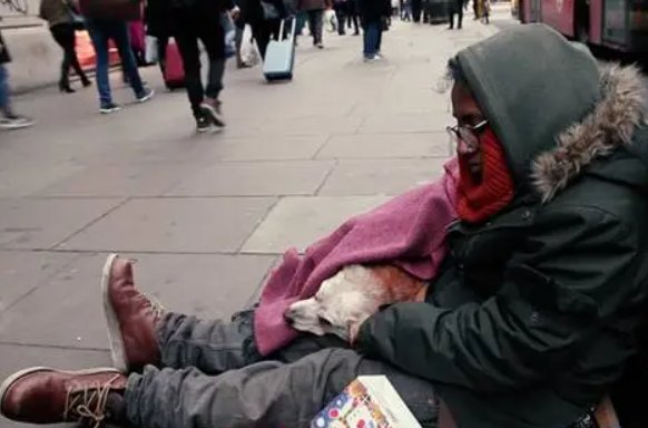 hobo是什么意思啊