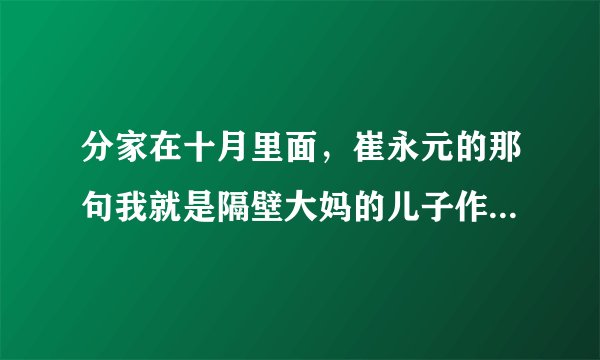 分家在十月里面，崔永元的那句我就是隔壁大妈的儿子作何解释？