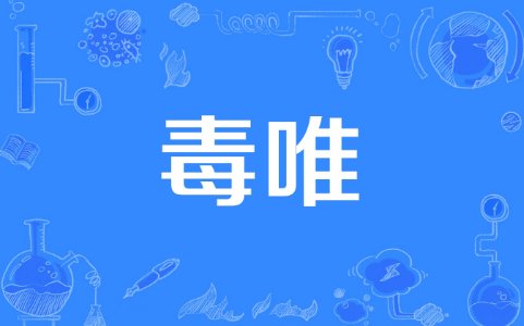 毒唯是什么意思