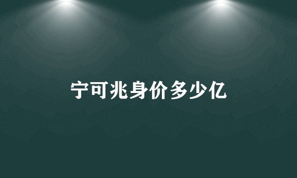 宁可兆身价多少亿