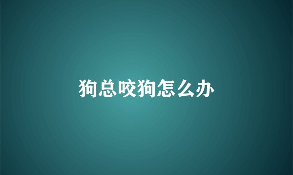 狗总咬狗怎么办