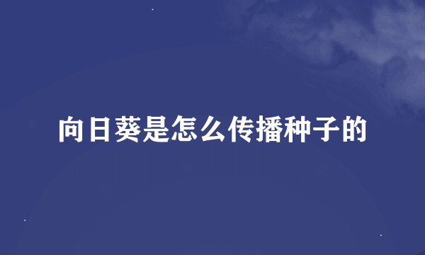 向日葵是怎么传播种子的