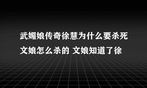 武媚娘传奇徐慧为什么要杀死文娘怎么杀的 文娘知道了徐