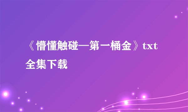 《懵懂触碰—第一桶金》txt全集下载