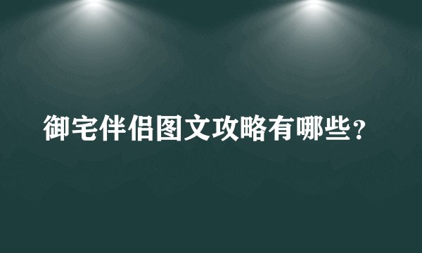 御宅伴侣图文攻略有哪些?