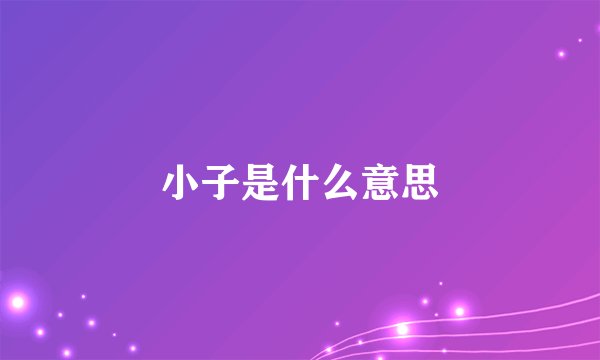 小子是什么意思