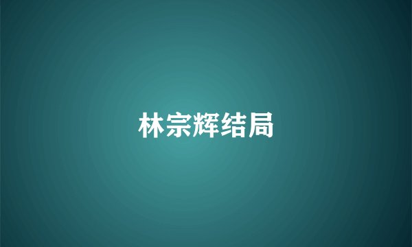 林宗辉结局