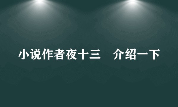 小说作者夜十三 介绍一下