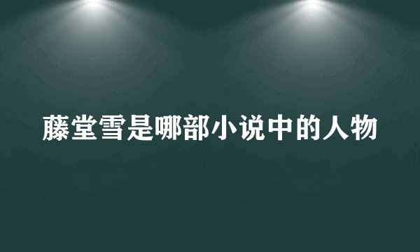 藤堂雪是哪部小说中的人物