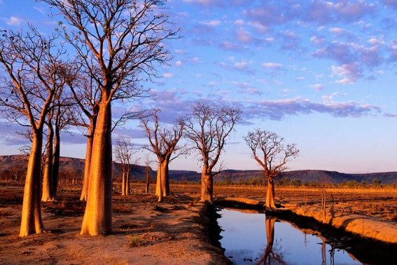 即视感什么意思