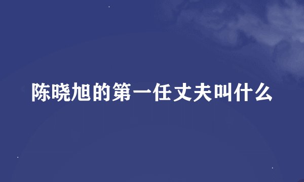 陈晓旭的第一任丈夫叫什么