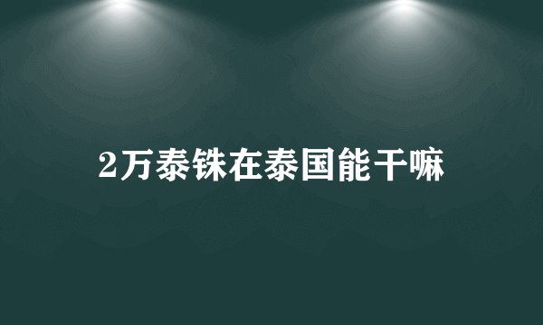 2万泰铢在泰国能干嘛