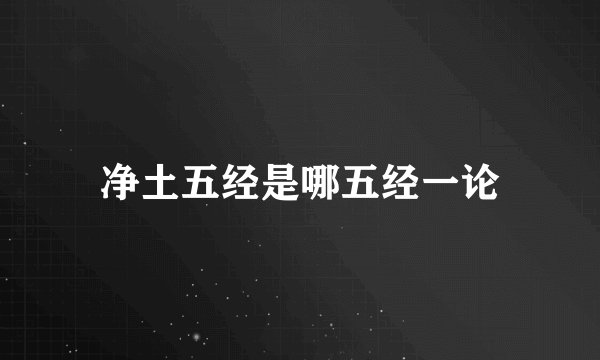 净土五经是哪五经一论