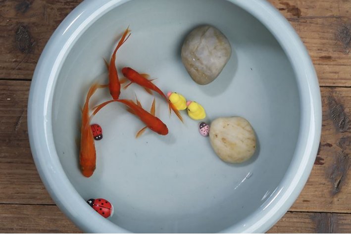 用科班出身造句子