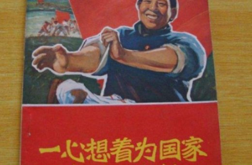 我该怎样为国家做贡献。