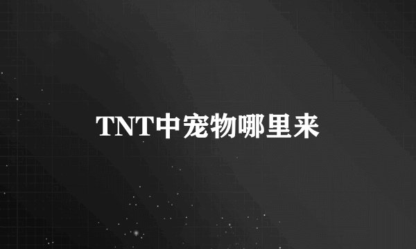 TNT中宠物哪里来