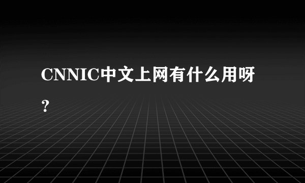 CNNIC中文上网有什么用呀？
