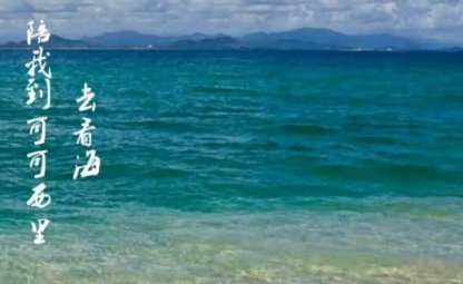 陪我去可可西里去看海下一句是什么?