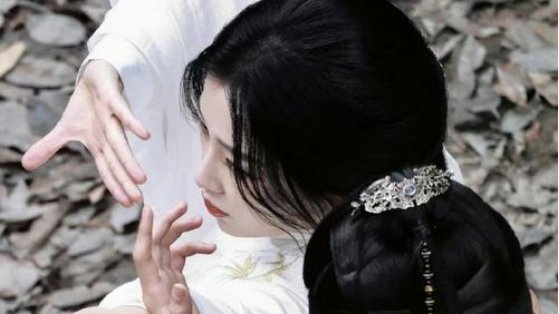 云之羽是什么小说？《云之羽》有拍成电视剧吗？